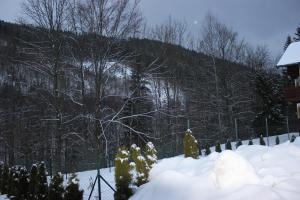 Apartmán Essi Tále- Chopok