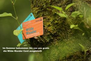 Ferienwohnungen Orth