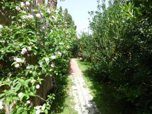 Casa Vacanza Appartamenti Al Mare img9