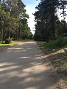 Cabaña Aires del Bosque