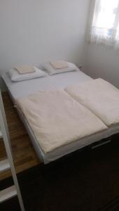 Apartment in the city center