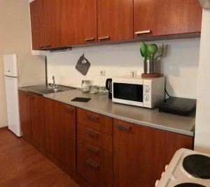 Apartment Choco