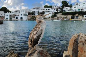 Alcaufar Vell Hotel Rural Restaurant Review Menorca - 