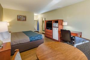 Standard King Room - Non-Smoking  room in Econo Lodge Lexington Downtown near I-81