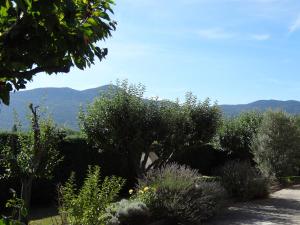 Bonnes Saisons photo 12