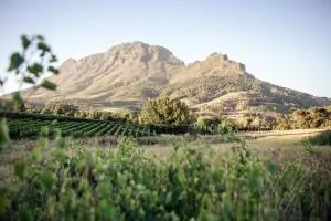 Le Pommier Wine Estate - Kylemore Le Pommier Wine Estate - Kylemore