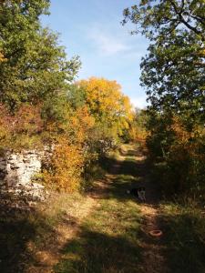 B&B / Chambres d'hotes Les Trois Prunelles : photos des chambres