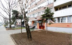Penthouse Novi Beograd