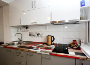 Penthouse Novi Beograd