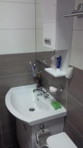 Apartment Lazic vila Suri