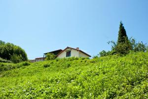 La Panera del Carbain