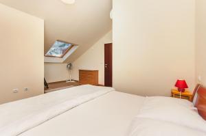 Modern new flat next to river Cetina