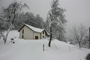 Maisons de vacances Gite Au Coeur Du Noyau : photos des chambres