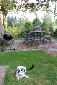 Ferienhof Gräfe - 3-Seiten Hof mit großem Garten, Pool & Sauna