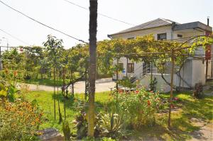 Guest House At Ninos