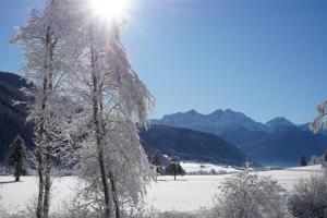 Supperior Appartement