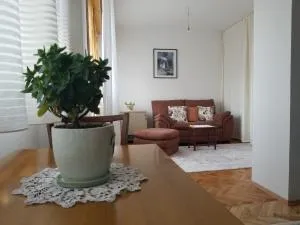 Super Central & Panoramic - Leo's Apartment - Pristina