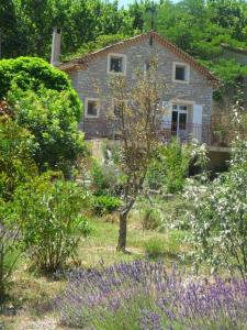 B&B / Chambres d'hotes l'Oulibo : photos des chambres