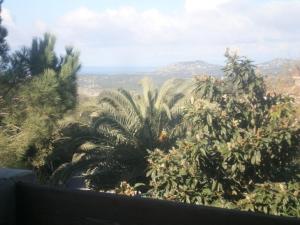 Residence Majori img41
