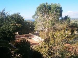 Residence Majori img43