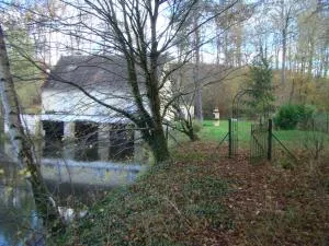 Nid dans la forêt - 皮埃尔丰