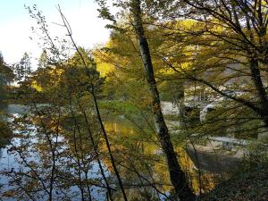 Maisons de vacances Nid dans la foret : photos des chambres