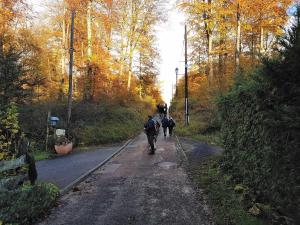 Maisons de vacances Nid dans la foret : photos des chambres