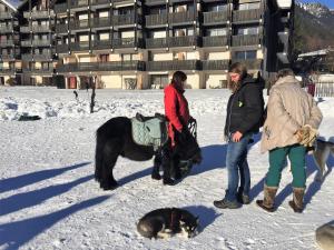 Front Ski Slope Chamonix Apartment
