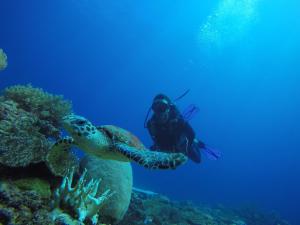 Nosy Sakatia 207, Madagascar.