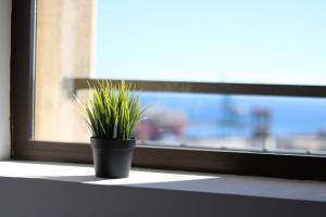 Vacacional con vistas corazon Santa Cruz