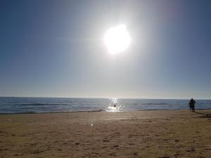 VanessaHolidayHome Piano Terra