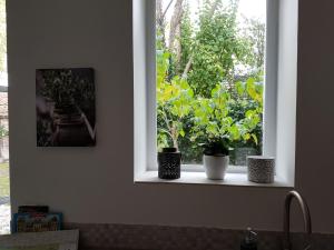 Appartements Fontainebleau Sweet Home Garden : photos des chambres