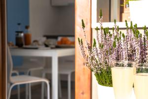 Lovely Corner: Perfect to visit TrevisoVenezia