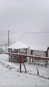 Vila Bucovina