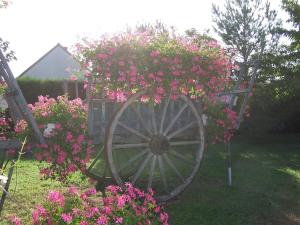 Hotels LE VIEUX FUSIL Contres-Cheverny-Beauval-Chambord : photos des chambres