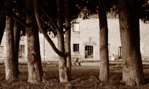 Maisons de vacances Au Domaine de Rimou : photos des chambres