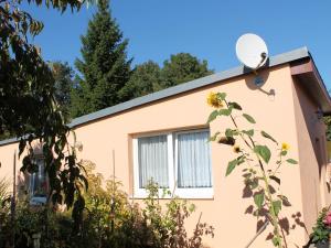 Ferienhaus Modern Bungalow with Barbecue in Kropelin Kröpelin Deutschland