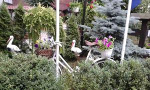 Апартаменты центр Головная