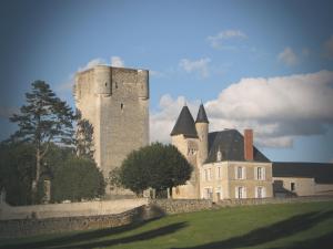 B&B / Chambres d'hotes Chateau de Mazieres : photos des chambres