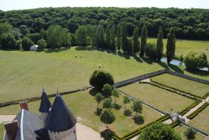 B&B / Chambres d'hotes Chateau de Mazieres : photos des chambres