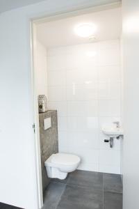 de rode beer (zeer rolstoelgeschikt)