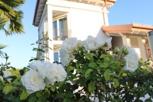 Agriturismo La Torretta