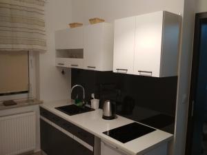 Apartament Scorpion Modlin