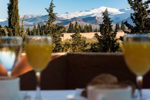 Double Room with Terrace room in Hotel Alixares