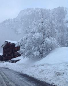 B&B Monte Giove Formazza