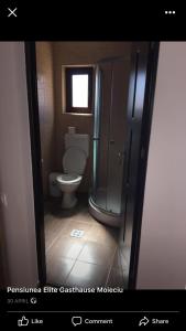 Eight-Bedroom House room in Elite Gasthaus