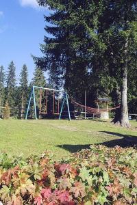 Family Hotel Markony