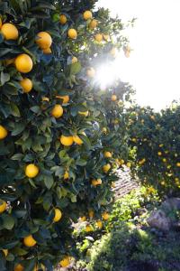 Cork Hills Farmhouse