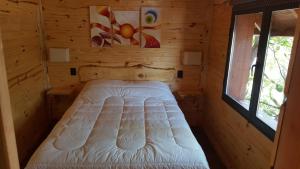 Pendientes de Moquehue