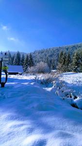 FATRAPARK 1 U SOVIČKY štúdio, kuchynka, kúpeľňa,s balkónom grátis parkovanie v podzemnej garáži